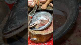 Mastering the Art of Wallago Attu Boal Fish Cutting Skills  Expert Techniques shorts [upl. by Ashbaugh913]