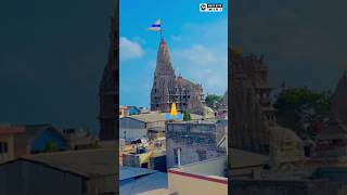 Jay Dwarkadhish 🙏 Dwarka WhatsApp status 🙏😊viral dwarka india trending shyam viral 💐🌷🌹 [upl. by Eindys173]