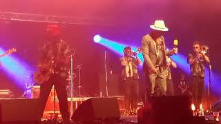 The Dualers  quotGOT THAT SMILEquot  Chelmsford 23 JUL 2022 [upl. by Yram]