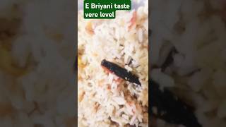 Malai Meal maker Biryani [upl. by Nnylireg687]