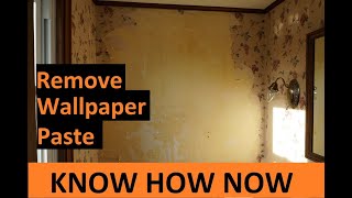 How to Remove Wallpaper Paste or Glue [upl. by Namijneb]