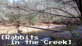 quotRabbits in the Creekquot by Fatal Disease Creepypasta [upl. by Niro]