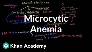 Microcytic anemia  Hematologic System Diseases  NCLEXRN  Khan Academy [upl. by Annaihr]