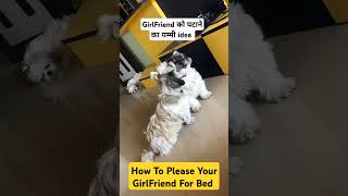 Dog girl girlfriend boy shorts shortsvideo edits viralvideo viralshorts viralreels funny [upl. by Elleunamme]