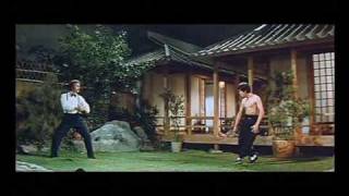 KungFu Bruce Lee vs Robert Baker [upl. by Bobseine229]