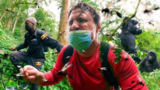 We Were ATTACKED on Our Gorilla Trek [upl. by Notla]