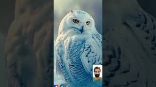 Wow Amazing Video 🤯👏cute birdsbeautiful birdsforyou cute [upl. by Suruat382]