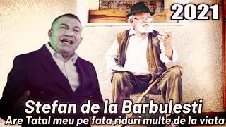 Stefan de la Barbulesti ❎ Are Tatal meu pe fata riduri multe de la viata 2021 [upl. by Ellenig]