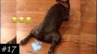 FARTING DOGS Compilation 💨😂 Funniest Dog Farting  2021 [upl. by Iur]