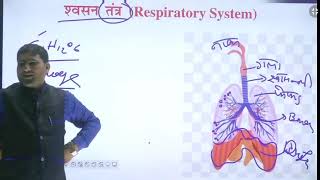 respiratory system by sk jha part 1  श्वसन तंत्र [upl. by Eilagam]