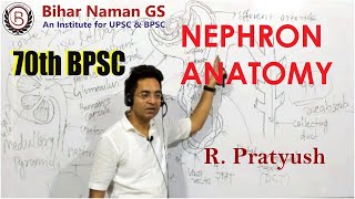 Nephron Anatomy  Biology  70th BPSC  R Pratyush  Bihar Naman GS [upl. by Tiffany]