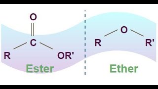 DIFFERENCE BETWEEN ESTERS AND ETHERS jhwconcepts711 [upl. by Felicdad515]