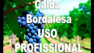 Calda Bordalesa uso profissional  parreiras de uva alimento saúde e qualidade de vida [upl. by Dnarud]