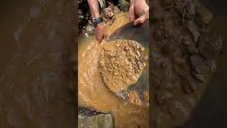 the process of extracting gold under rocks between tree roots [upl. by Lockhart]