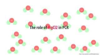 The role of MgCl2 in PCR  simple animated HD [upl. by Charmaine]