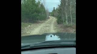 Directions To Pleasant River Preserve Pleasant River Nova Scotia [upl. by Bernhard399]