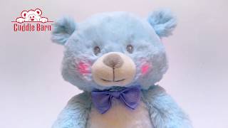 Cuddle Barn  Babys 1st Lullaby Teddie Blue and Pink [upl. by Tiffi]