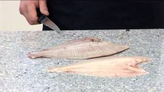 How to Crosscut Fillet a Plaice  412 [upl. by Nesahc826]