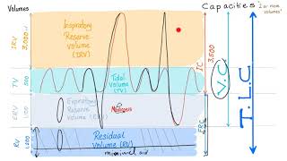 Pulmonary Function Tests PFTs  Spirometry  Lung Volumes amp Capacities Made Simple  Physiology [upl. by Wardlaw]