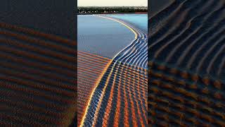 The Qiantang River Fish Scale Tidal Bore at Sunset [upl. by Darrill]