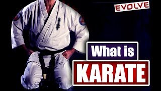 What Is Karate  Brief History Of Karate HINDI AUDIO [upl. by Bez113]