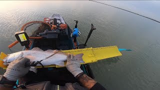 Topwater Fishing For Redfish in South Texas [upl. by Nodla360]