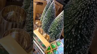 Hornbach Kerst Mini Shoplog 2024🎄 [upl. by Hamid]