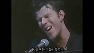 한글자막 톰 웨이츠Tom Waits Christmas Card from a Hooker in Minneapolis [upl. by Elleniad]