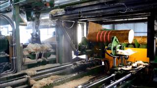 A E Gibson amp Sons Optimising Twin Saw Log Edger Sawmilling Equipment amp Machinery [upl. by Intruok179]