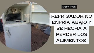 Refrigerador Daewoo no enfría abajo problemas con el sistema de deshielo vamos a repararlo [upl. by Anilrahc]