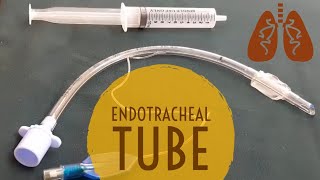 Endotracheal Tube  Parts  Ward Procedure  Nikita Pahwa [upl. by Eidnil]