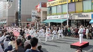 Okinawa Karate Fukyū Gata Ichi 沖縄空手 普及型一 [upl. by Airdnalahs]