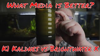 Which Biological Media is Better for a Moving Bed Filter K1 Kaldnes vs Brightwater X Series [upl. by Llerryt795]