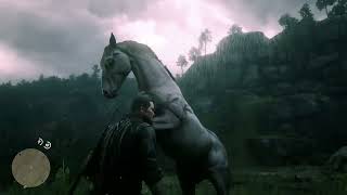 Get this beautiful horse rdr2 [upl. by Delaine]