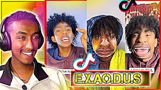 የ EXODUS ኤክሶደስ በሳቅ ገዳይ ቪደዮች [upl. by Adnaval497]