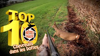 Top 10 Rêves De Chasse n°16  Février 2024  Edition spéciale quotChevreuils dans les bottesquot [upl. by Tremann]