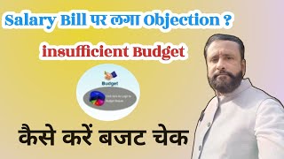 Ifms par budget check kaise kare  insufficient budget objection on salary bill  salary [upl. by Eolhc]