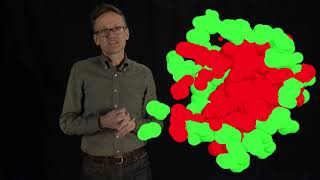 Lecture 04 concept 08 Protein folding is initially a hydrophobic collapse [upl. by Herman]