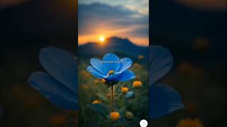 Saason Ke Kinaare Bade Tanha The💘🥺✨  WhatsApp Status  Lyricsbharti aestheticlyricstrending [upl. by Yael136]