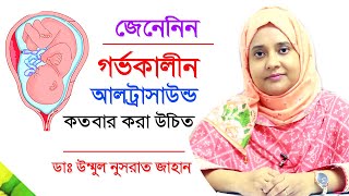 গর্ভাবস্থায় কতবার আলট্রাসাউন্ড করা উচিত  Ultrasound pregnancy test  Bangla Tips  Doctor Tube [upl. by Imojean]