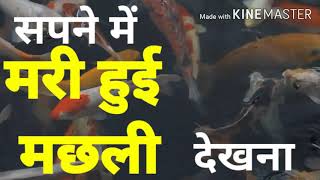 सपने में मरी हुई मछली देखना  Sapne me mari hui machli dekhna  Dead fish in dream [upl. by Noillid]