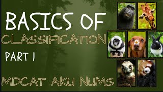 BASICS OF CLASSIFICATION  PART TWO  CLASS 11  MDCAT 2025  STB  AKU NUMS NET [upl. by Susanna]