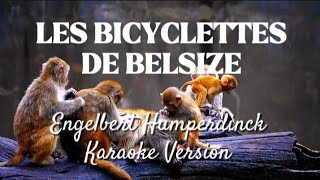 LES BICYCLETTES DE BELSIZE  Engelbert Humperdinck  Karaoke Version [upl. by Aikem]