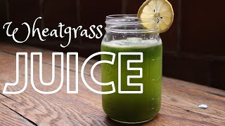 How to Make Wheatgrass Juice [upl. by Araz388]