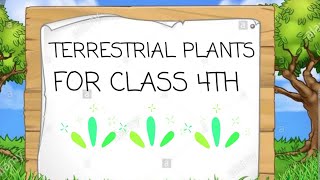 TERRESTRIAL PLANTS CREATIVE BHARAT [upl. by Shamma]