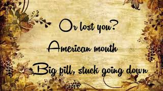 Flightless Bird American Mouth Lyrics HD [upl. by Vola750]