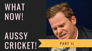 Australian Ball Tampering part 2 How to Repair Australian Chricket [upl. by Alegre996]