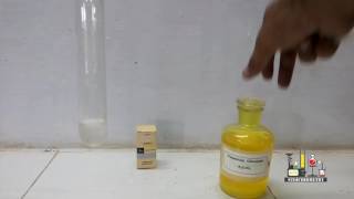 Silver Nitrate and Potassium Chromate [upl. by Markos]