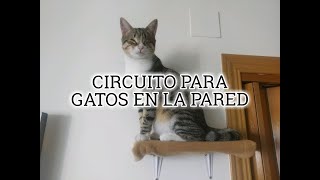 CIRCUITO EN LA PARED PARA GATO [upl. by Ingaborg]