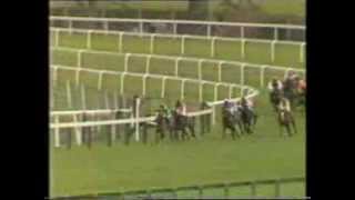 1987 SGB Handicap Chase [upl. by Yared340]